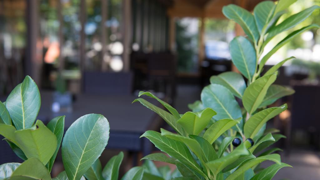 Hotel Badhof Altstätten Szoba fotó